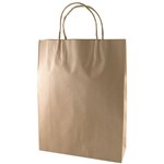 CAPRI KRAFT PAPER CARRY BAG B1 TWIST HANDLE MEDIUM BROWN 275 X 280 X 150MM BOX 200
